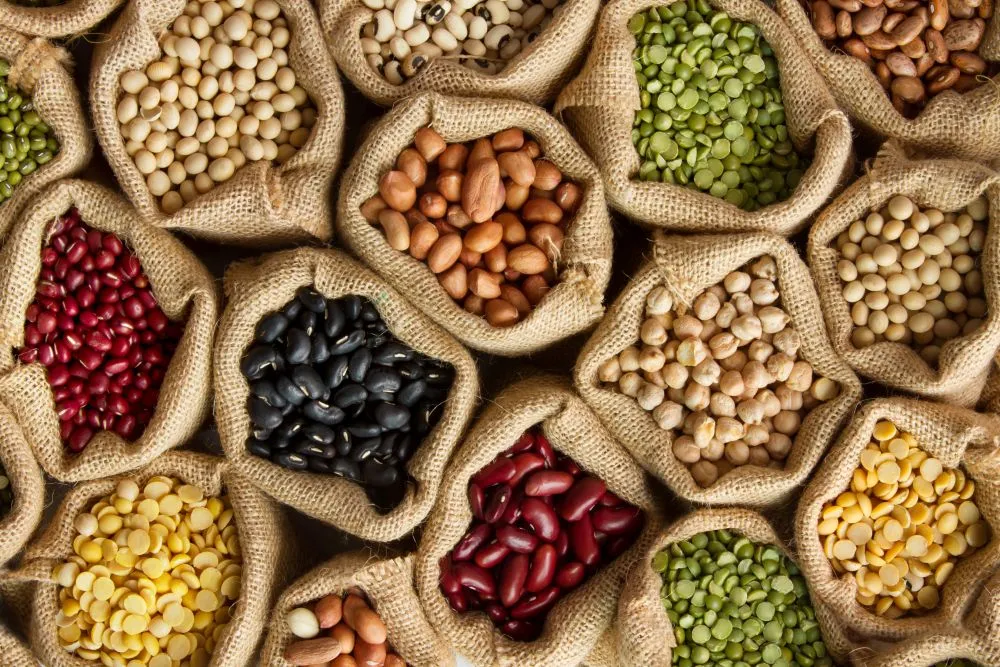 Selection of Spanish gourmet beans, pulses and pulses