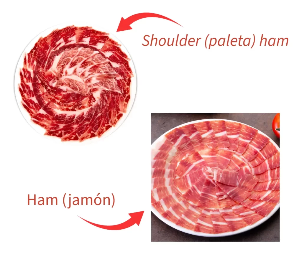 Shouler and hind leg Iberian hams on plates for comparision
