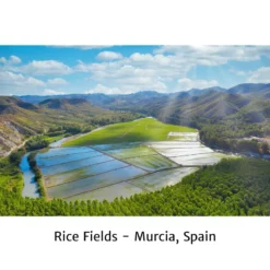 Calasparra Rice fields Spain