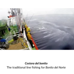 Ortiz Atlantic Marinated White Tuna (82g) 3