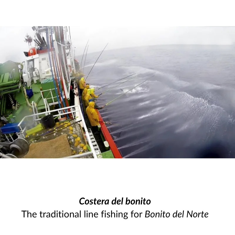 Ortiz Atlantic Marinated White Tuna (82g) 2 Ortiz Atlantic Marinated White Tuna (82g) - Image 2