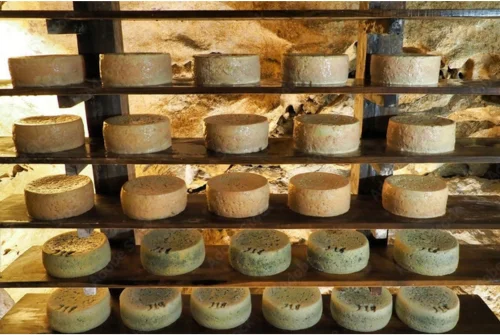 Cabrales Cheese in Cave